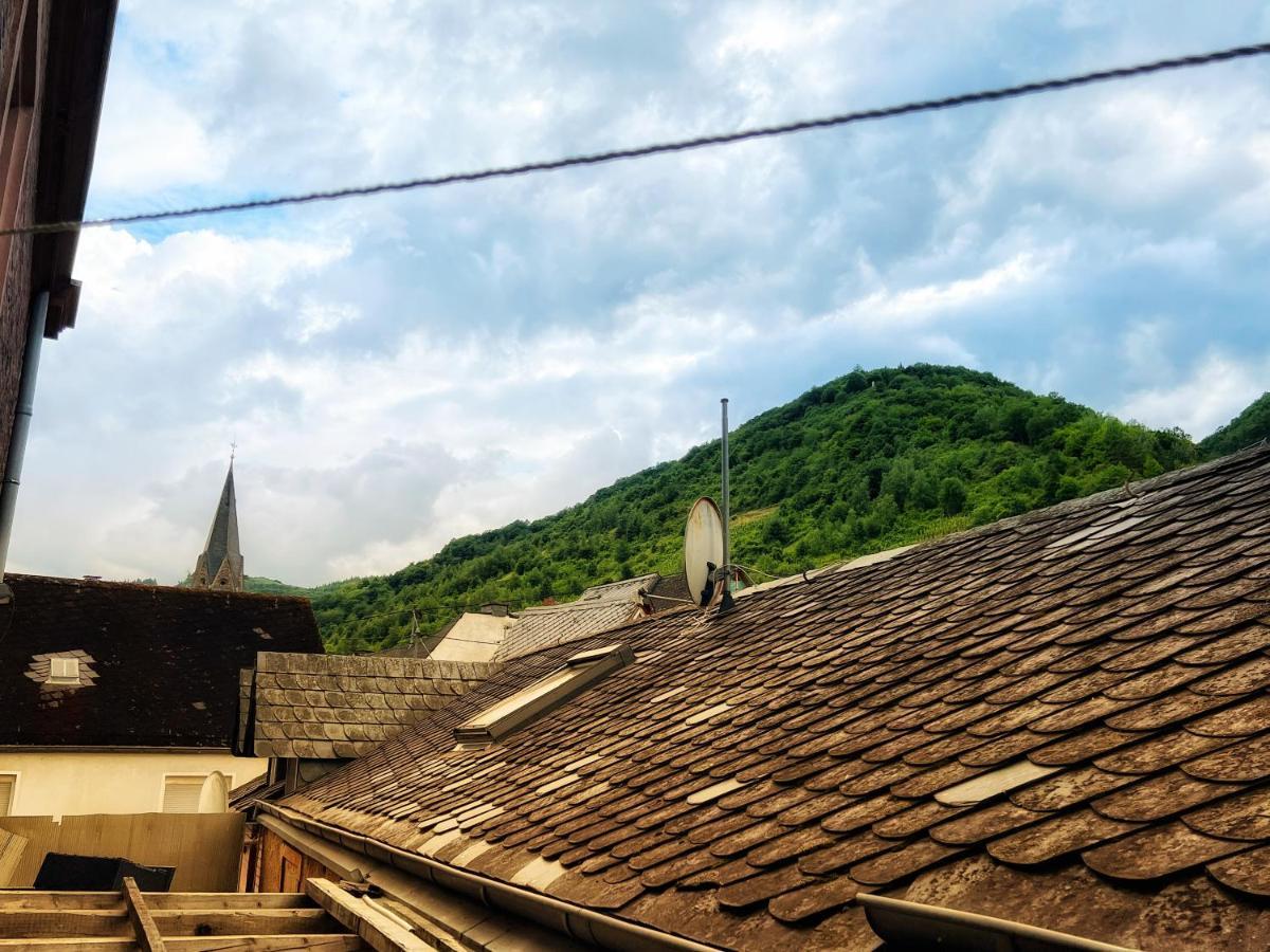 Direct Moselle View 200M² 4 Sz 10Pers Terrace Apartment Sankt Aldegund Luaran gambar